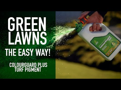 Lawn Solutions ColourGuard Plus 100ml Concentrate