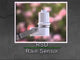 Rain Bird Hard Wired Rain Sensor